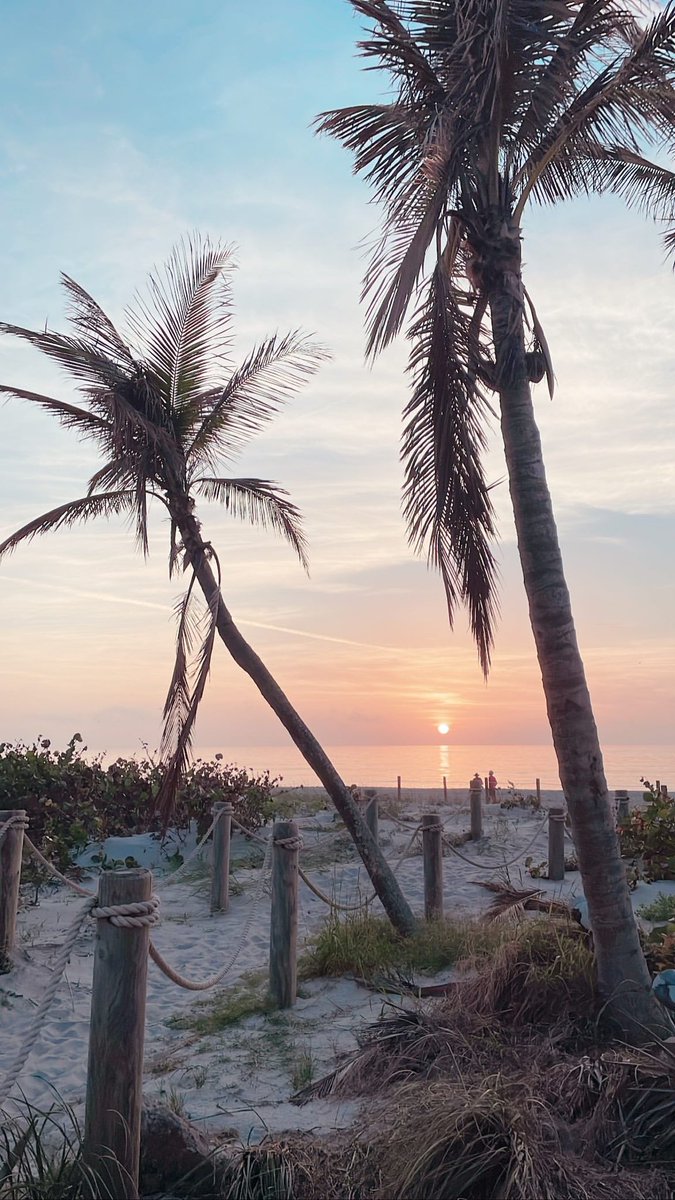 beach bummer 420 tweet media