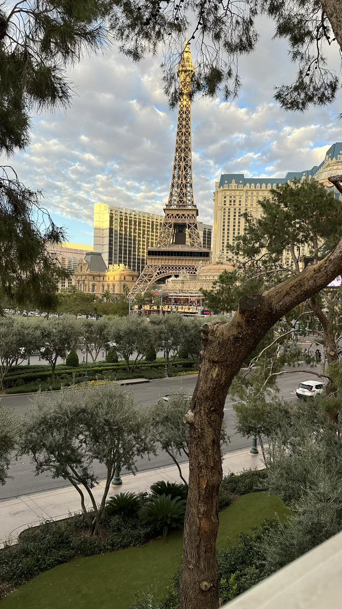 WiiChannelNews's tweet photo. @ParisEternal I mean… If you’re going to Vegas anyways and need a tank I mean… I’m already here and all that…

LFT OWL

- Please put me on Las Vegas Eternal, I will carry as Tank fr 💯💯 https://t.co/hACUizf6mB