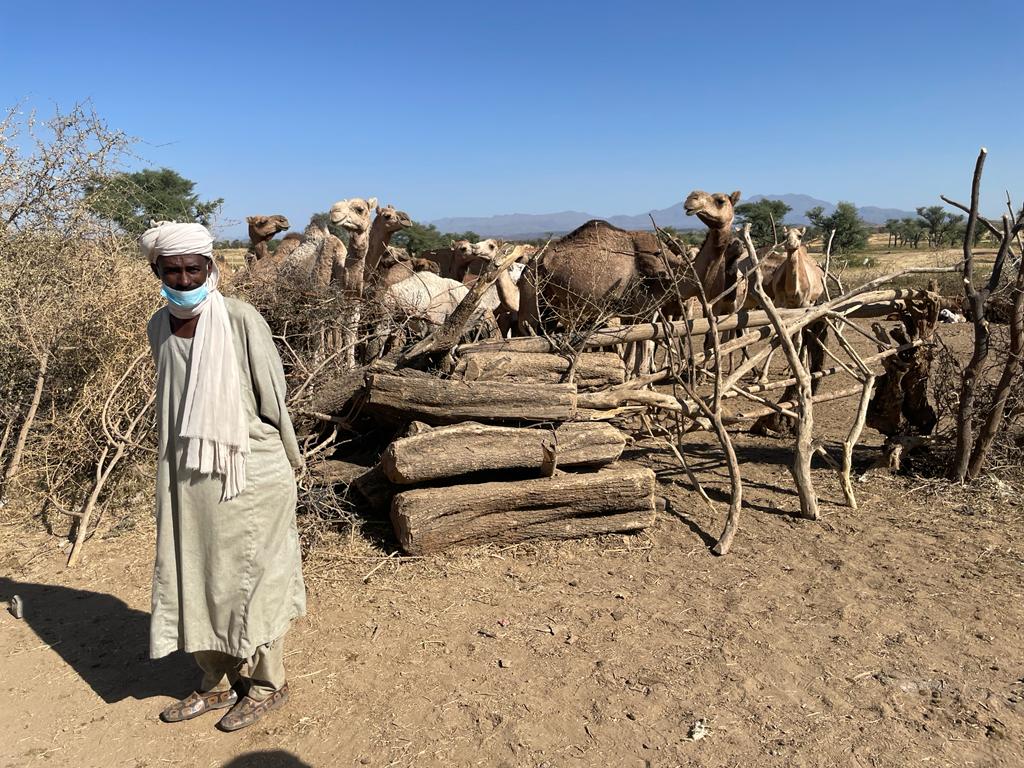 Visiting Gorni, Central Darfur with #PBF donors <a href="/SweAmbSudan/">SweAmbSudan</a> <a href="/irmavandueren/">PUNIT SAINI {THREATS_HUNTER}</a> we met a Crop Protection Commitee, established by <a href="/FAOSudan/">FAOSudan</a> with <a href="/UNPeacebuilding/">United Nations Peacebuilding and Peace Support</a> support, negotiating with a farmer and herder over a case of farm destruction by camels. This is #peacebuilding in action.