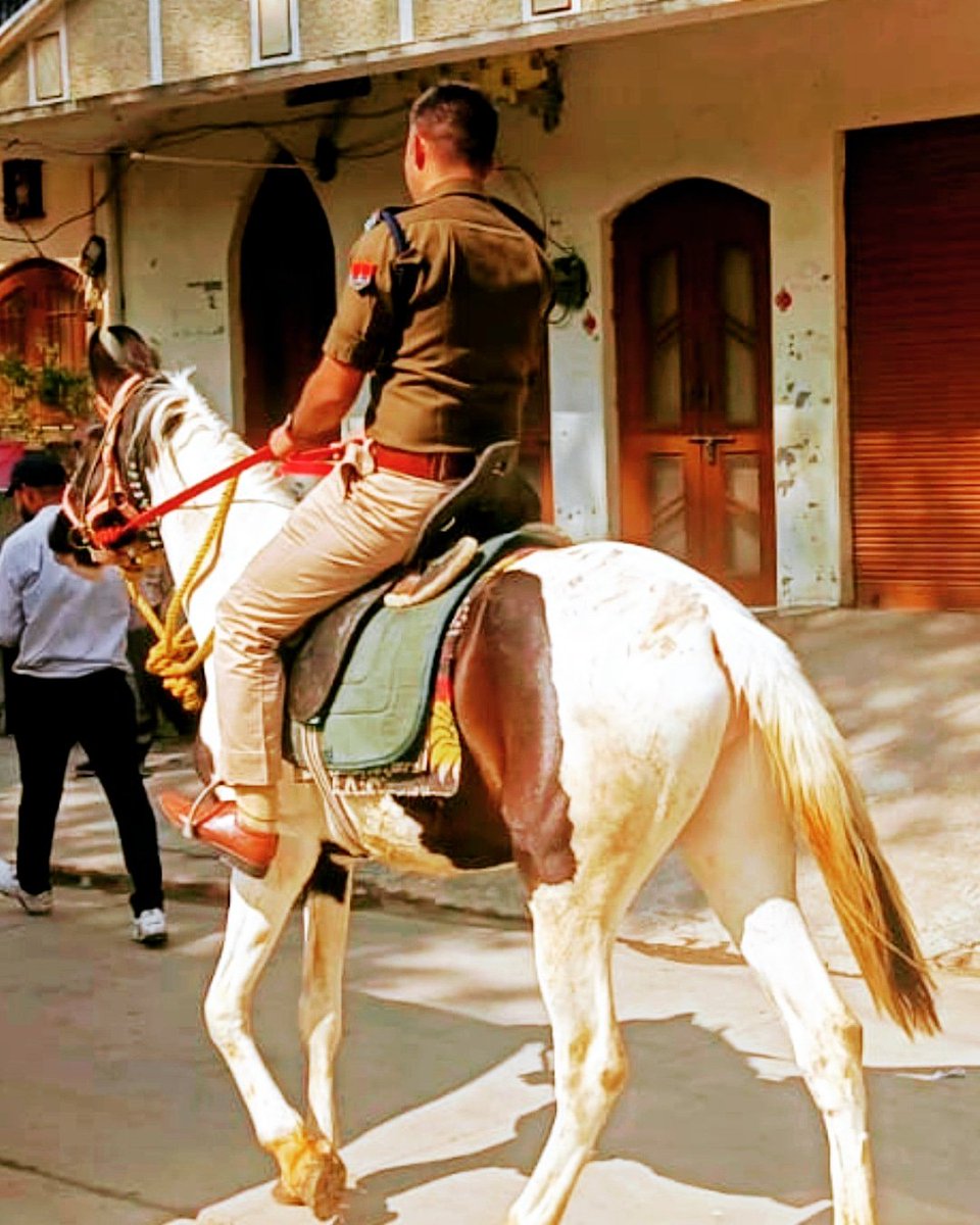 PremSauRPS's tweet photo. #🐎 #Rani https://t.co/RayCTtXVKz