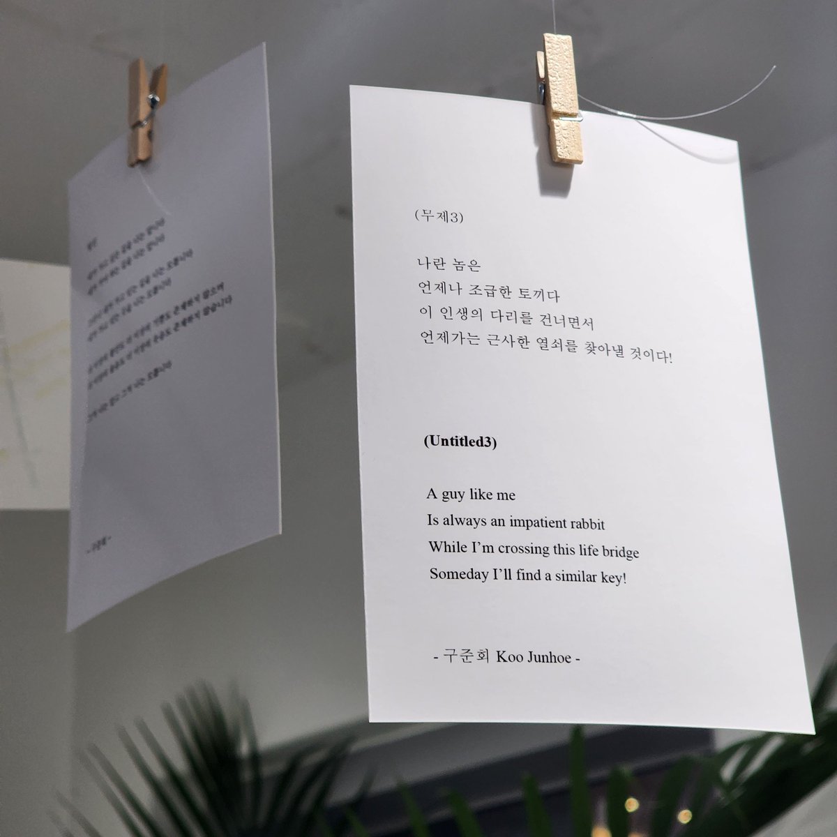 appleboy_dd's tweet photo. 🤍주내 데뷔일 기념 카페 방문🤍

준회 감성 그 자체였던 공간
소품 하나하나에서 묻어나는 감성이 ,,
못왔으면 너무 아쉬웠을뻔한 ㅠㅠ
감사합니다🫶

#deepnight_june
#june_7th_anniversary https://t.co/j3sRVSUPIU