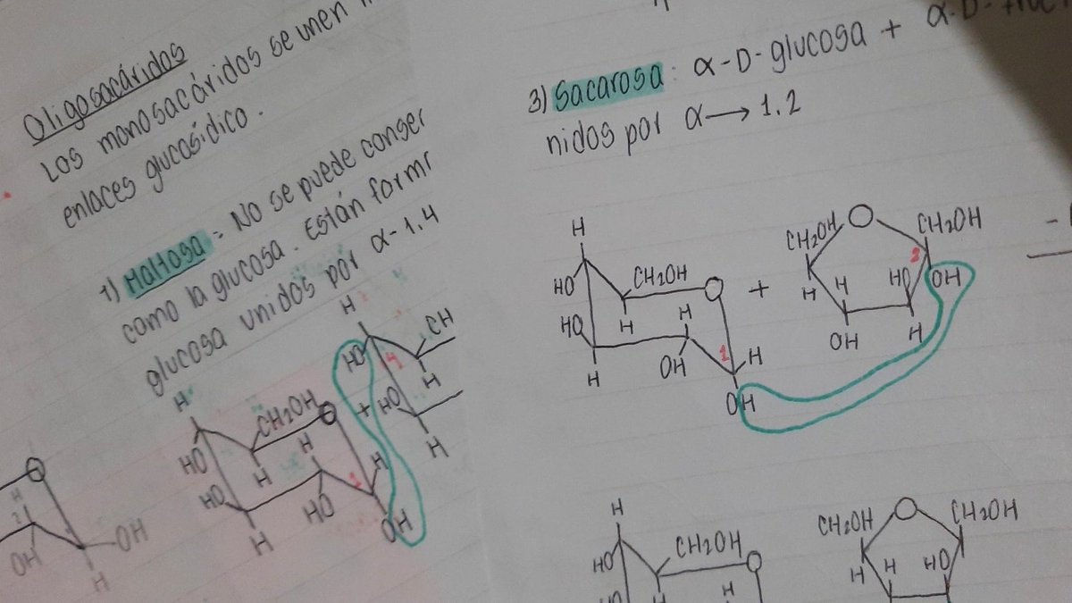 024files's tweet image. ㅤ
꒰ 🗂️ ꒱ studylog_221126
#studytwt #studyspo