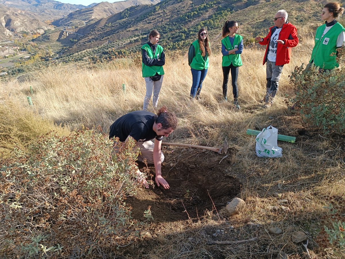 Grupo Local WWF Granada tweet media