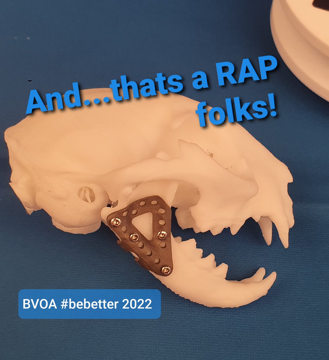 1/2 And...that's a wrap for #BVOA #bebetter Autumn Meeting 2022 thanks <a href="/MortonM/">Mark Morton</a>.<a href="/m_ben_w/">Ben Walton</a> .HUGE thanks so much to ALL of our sponsors and exhibitors, without their generous support these meetings just would not be possible. Sponsors tagged but please also see next thread!