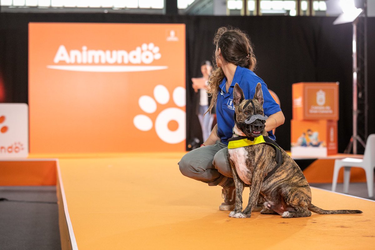 infecar's tweet image. ¿Planes para hoy domingo? 

¿Qué mejor manera de pasarlo bien que viniendo a #Animundo 🐶🐱?

Hoy tenemos un variado programa de charlas y talleres junto a las cuatro pasarelas de adopción donde podrás conocer a los amigos peludos de cuatro patas que necesitan un nuevo hogar.