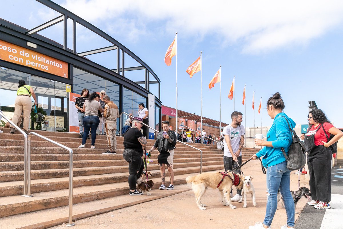 infecar's tweet image. ¿Planes para hoy domingo? 

¿Qué mejor manera de pasarlo bien que viniendo a #Animundo 🐶🐱?

Hoy tenemos un variado programa de charlas y talleres junto a las cuatro pasarelas de adopción donde podrás conocer a los amigos peludos de cuatro patas que necesitan un nuevo hogar.