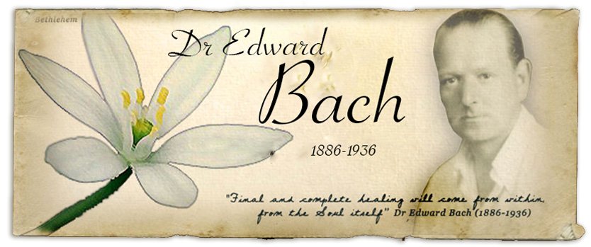 mariobianchi18's tweet photo. Il #27novembre 1936 moriva #EdwardBach. Medico, omeopata, immunologo gallese. Si dedicò alla psicosomatica: la malattia come risultato di uno squilibrio tra le scelte della mente e i desideri del cuore. I suoi rimedi sono noti come "fiori di Bach" che hanno un effetto placebo. https://t.co/82T8ewLOpn
