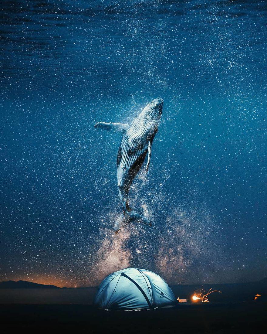 NikholasGroot's tweet photo. Surreal Photos Full Of Visual Metaphors By Turkish Artist Murat Akyol. 🤩 ❤️ 🤩

Follow 👉 @NikholasGroot 

#illustrationoftheday #illustrationgram #sundayvibes #SundayMorning #weekend #WeekendFun #weekendmood #POPULARIMAGES #Trending #Viral https://t.co/9Limsa9nVQ