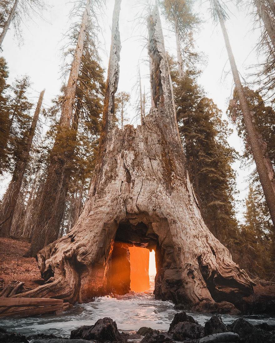 NikholasGroot's tweet photo. Surreal Photos Full Of Visual Metaphors By Turkish Artist Murat Akyol. 🤩 ❤️ 🤩

Follow 👉 @NikholasGroot 

#illustrationoftheday #illustrationgram #sundayvibes #SundayMorning #weekend #WeekendFun #weekendmood #POPULARIMAGES #Trending #Viral https://t.co/9Limsa9nVQ