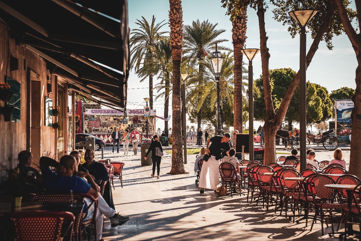 predator_spain's tweet photo. Enjoy your Sunday morning coffee in the #enco at the beginning of Paseo Borne but not before 10:00. The perfect place to get the full morning sun when the other places are still in the shadow. And after it go straight ahead to Churreria Rosalia. https://t.co/8DWmnKkTtq