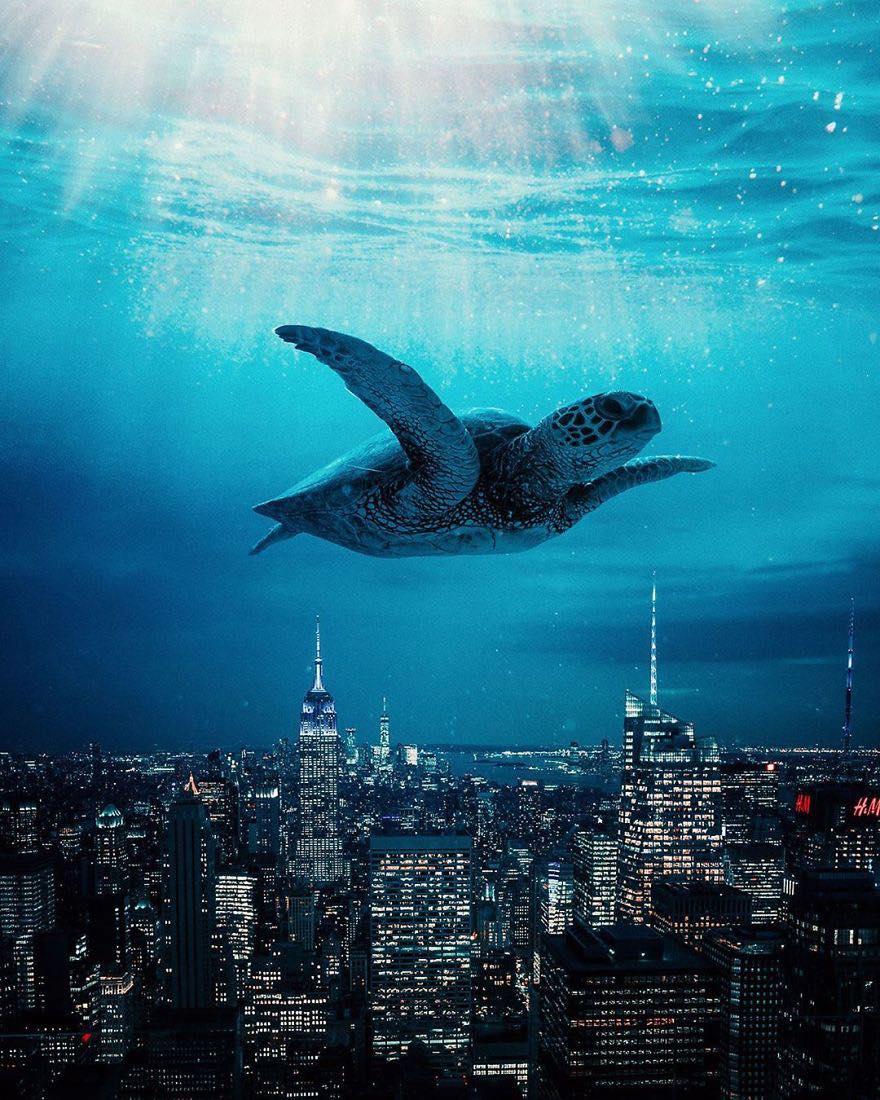 NikholasGroot's tweet photo. Surreal Photos Full Of Visual Metaphors By Turkish Artist Murat Akyol. 🤩 ❤️ 🤩

Follow 👉 @NikholasGroot 

#illustrationoftheday #illustrationgram #sundayvibes #SundayMorning #weekend #WeekendFun #weekendmood #POPULARIMAGES #Trending #Viral https://t.co/UWHV1syuFu