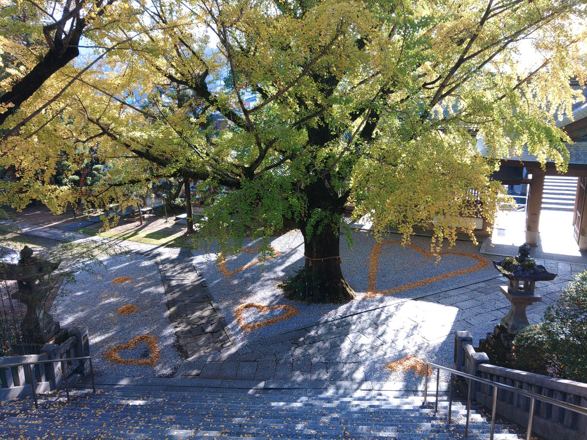 forestswing tweet picture