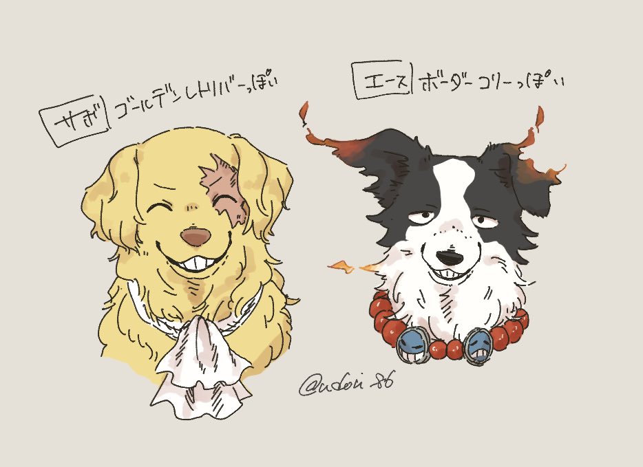 犬のASL +α
※擬獣化 