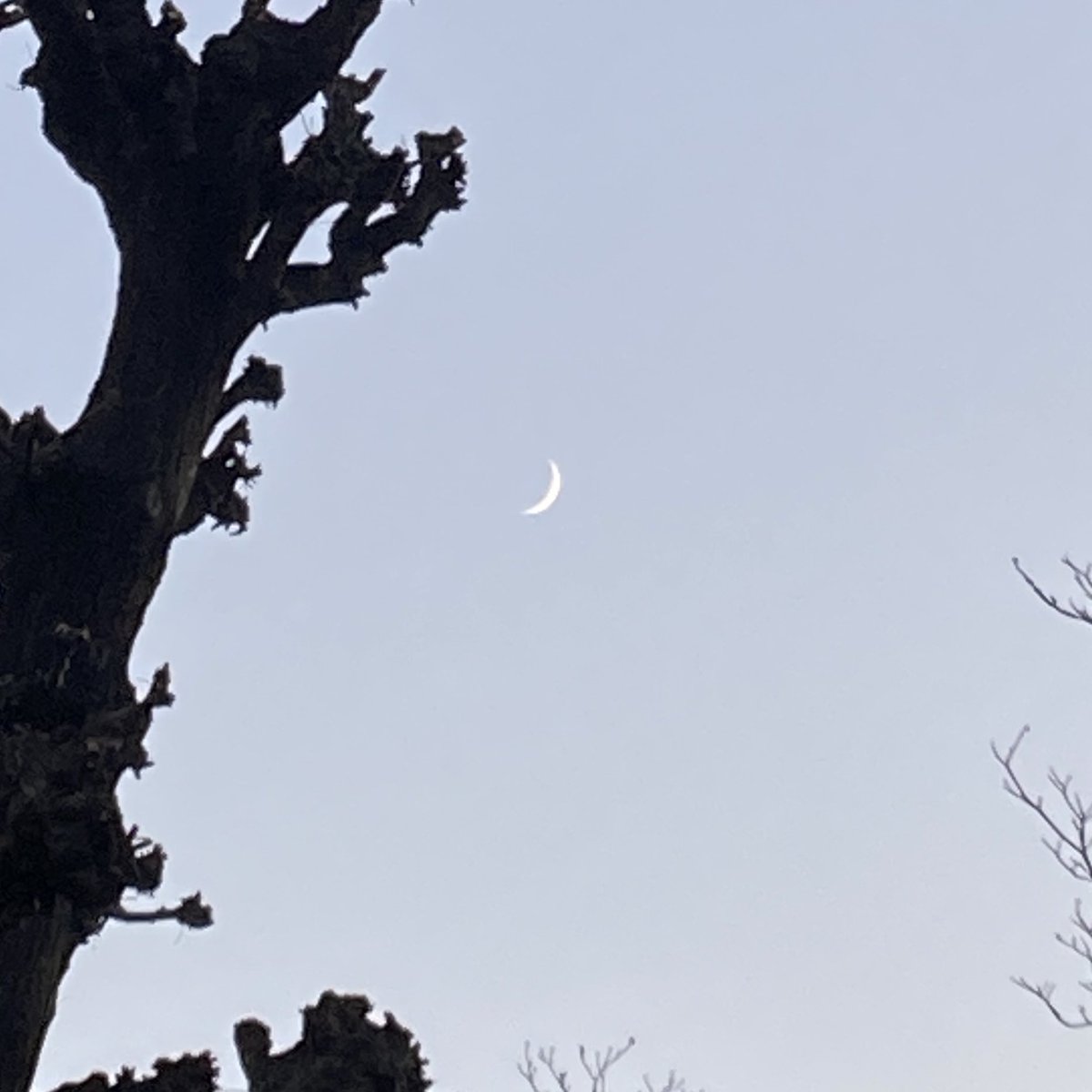 月みとう (@tsukimitou13) on Twitter photo 