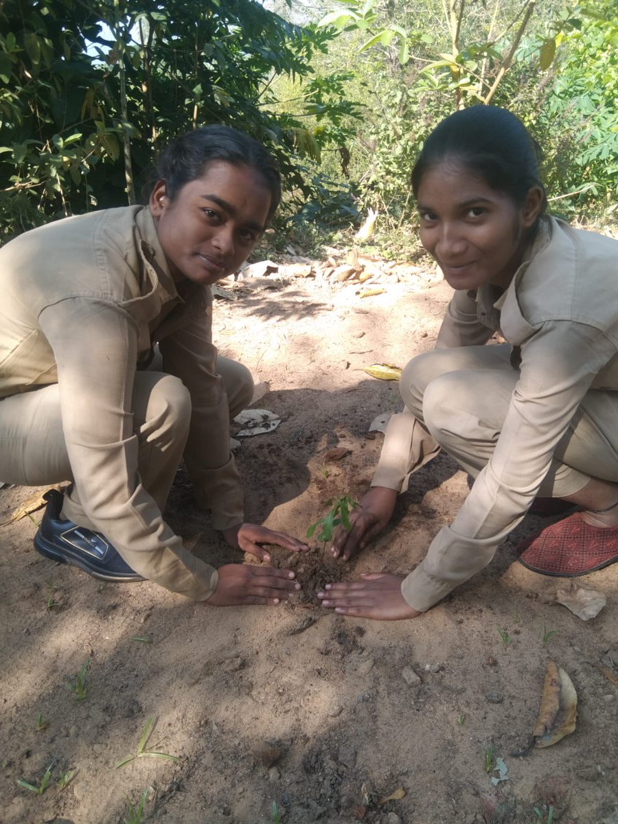 LtSasmita's tweet photo. Tree plantation on NCC Day @rashtrapatibhvn @narendramodi @Sriniva78045045 @Naveen_Odisha @GIRLSBNNCCRGDA2 @DHE_Odisha https://t.co/wkLyqmTaZ8