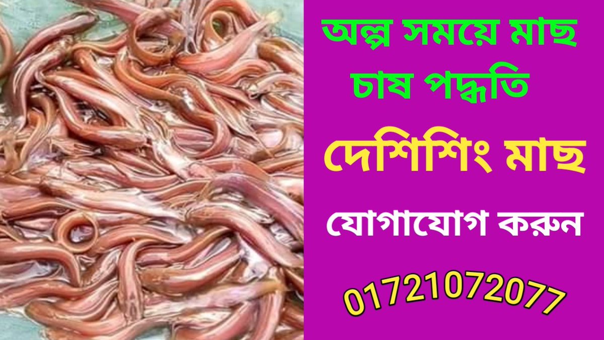 Bulbul ahmed tweet media