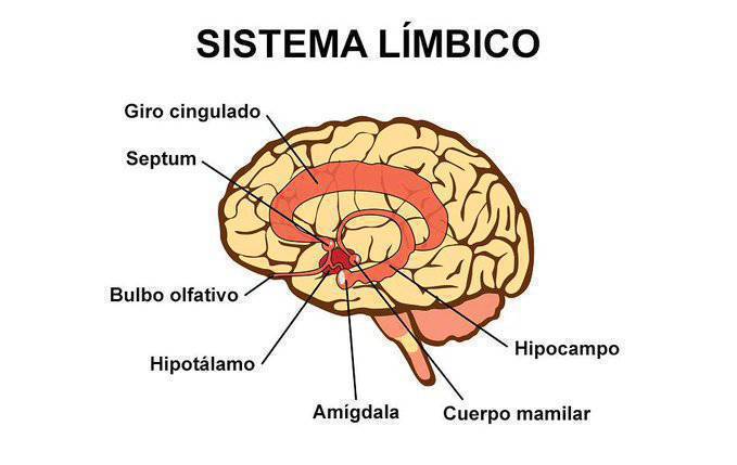 Virginio Gallardo tweet media
