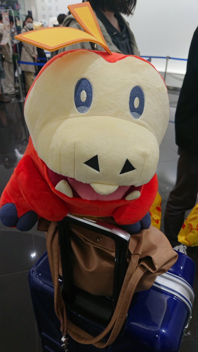 poke_gimmick's tweet photo. 一緒に帰ろうね、ホゲータ https://t.co/0CBdQXnZpM