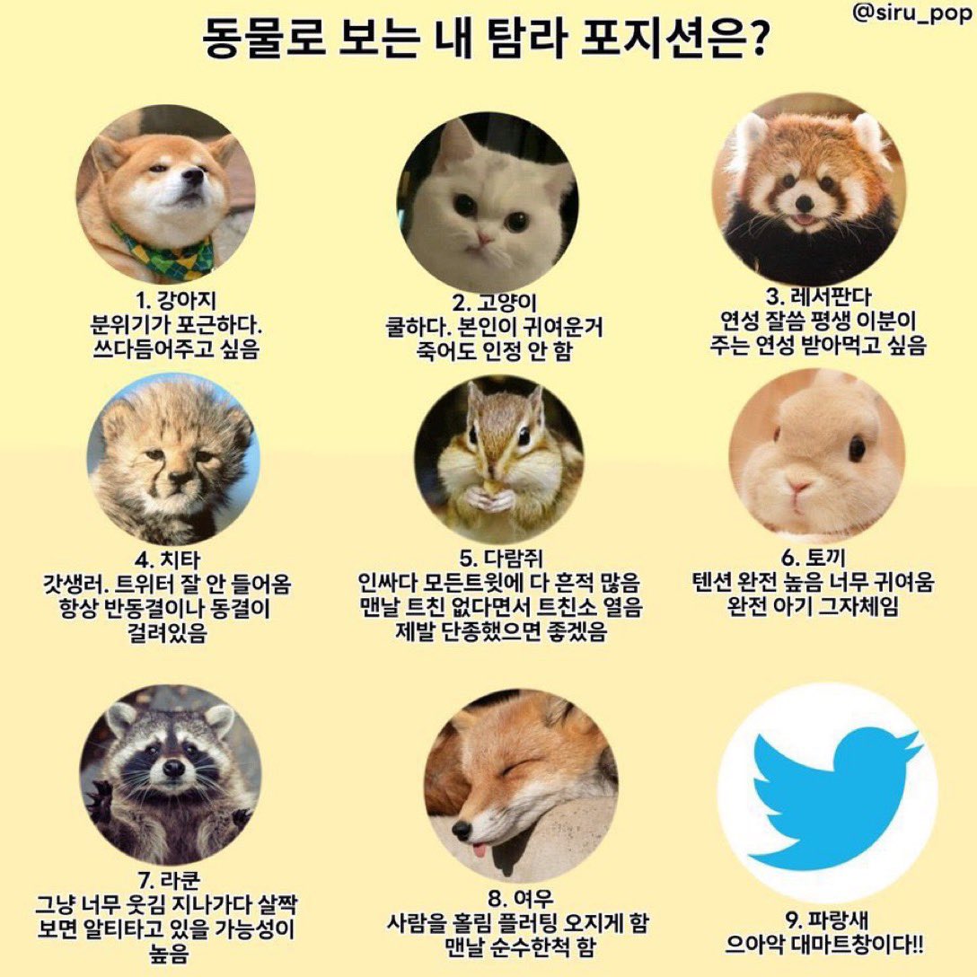 나도나도나도나도