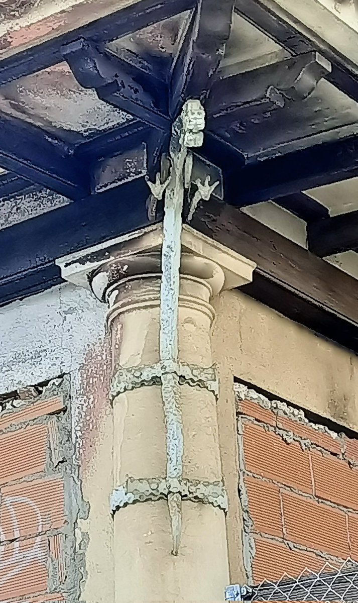 mfern369's tweet photo. Un alien en la cornisa de la casa 😱 https://t.co/Ja9vCXL6gZ