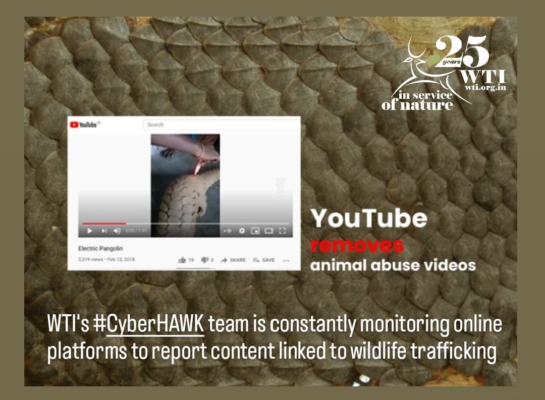 wti_org_india's tweet photo. Thank you @YouTubeIndia for taking proactive action against content linked to #IllegalWildlifeTrade
You too can play your part. Download the #CyberHAWK app from @GooglePlay today.
#WTIatWork https://t.co/EOseP1dqVm