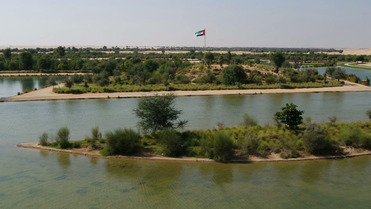 الصورة