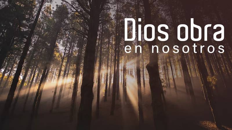 enlacetv's tweet image. Al leer la Biblia, busca las cualidades que Dios considera preciosas, y pídele que las desarrolle en tu vida. Luego, confía en Su maravillosa promesa de hacer incluso más de lo que tú has pedido o imaginado. - Lee: [ow.ly/RLE150LMEJS]