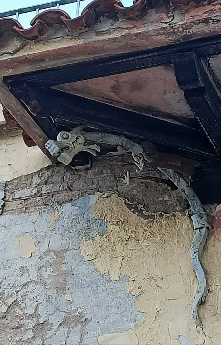 mfern369's tweet photo. Un alien en la cornisa de la casa 😱 https://t.co/Ja9vCXL6gZ