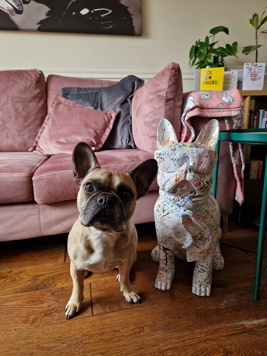 nft_frenchie's tweet photo. These photos are from his surgery back in May this year. Ernie is still currently at the vet's and we hope to have him home in the coming days. IVDD is such a nasty procedure for any dog to go through let alone twice in one year. So let's hope Ernie keeps fighting #spinalsurgery https://t.co/NgYbcUUiBX
