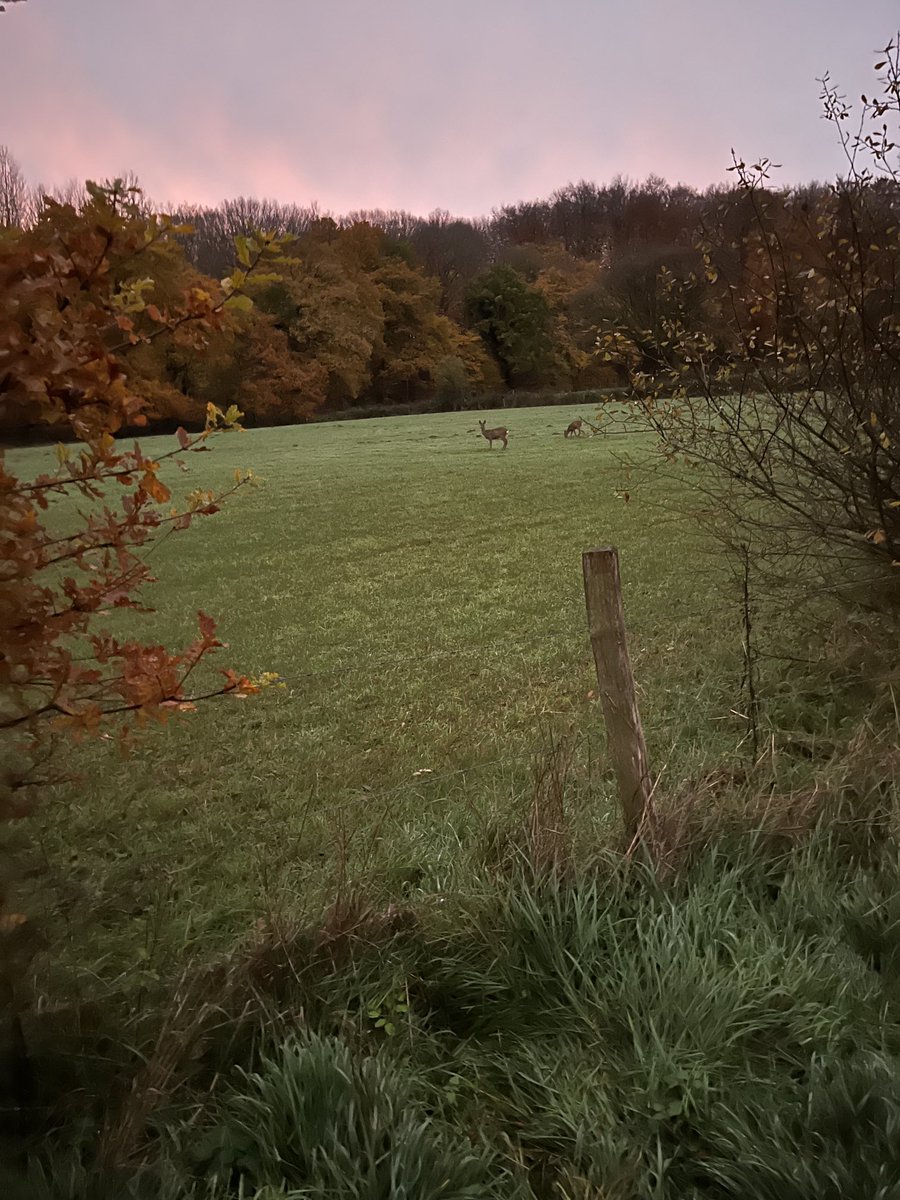 LeonPlla's tweet photo. Genieten van de mooie dingen die de natuur je geeft #bewegen # hardlopen 🏃‍♂️👻🥳 https://t.co/O7FGFVo6RO