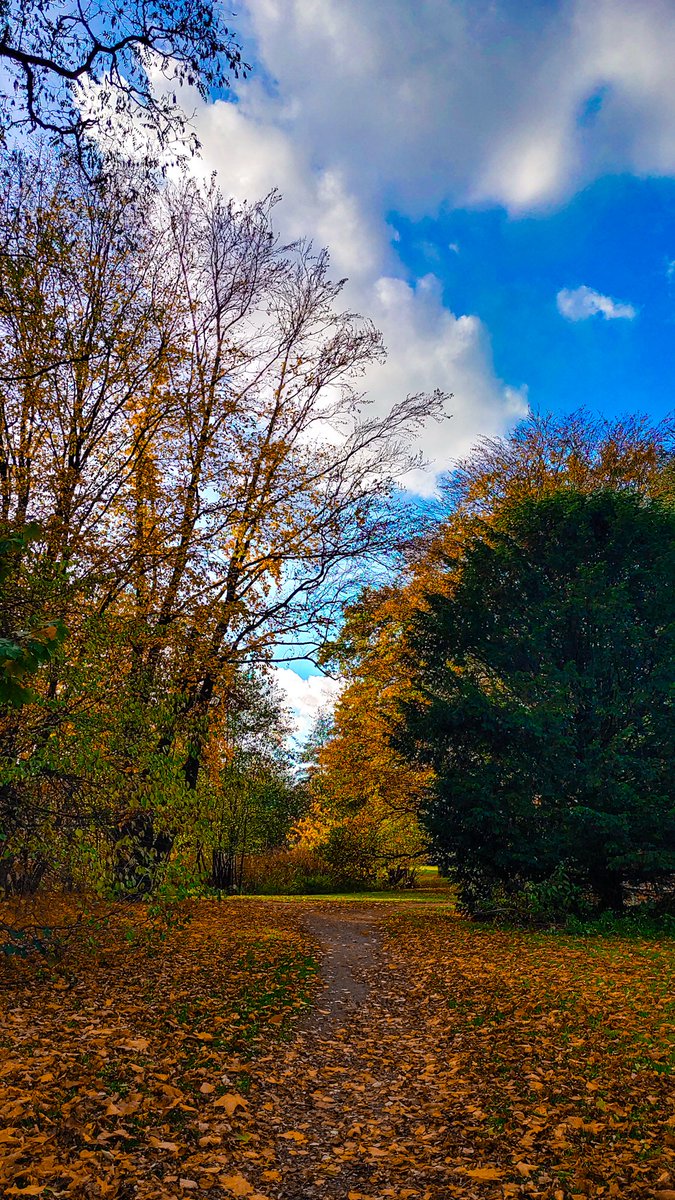 ivan4ova's tweet photo. #nature #naturelover #natureisbeautiful #nature_perfection #naturecuts #natureshots #NaturePhotography #photooftheday #photography #photo #ThePhotoHour #StormHour https://t.co/UtP5W7nMs0