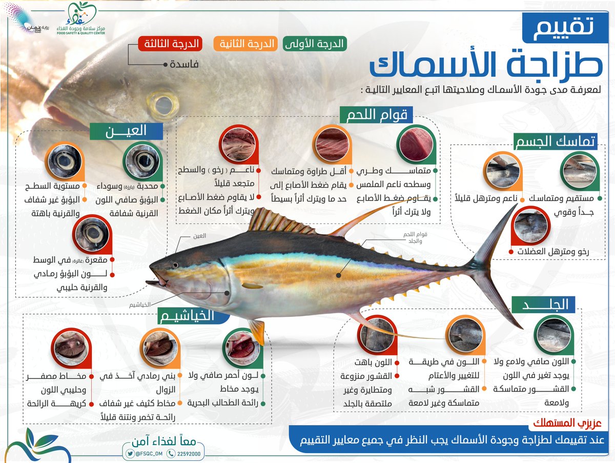 FSQC_OM's tweet photo. عزيزي المستهلك : عند تقييمك لطزاجة وجودة الأسماك يجب النظر في المعايير الأساسية التي توضح مدى جـودة الأسمـاك وصلاحيتها

#مركز_سلامة_وجودة_الغذاء 
#معاً_لغذاء_آمن https://t.co/u4mKBfLUei