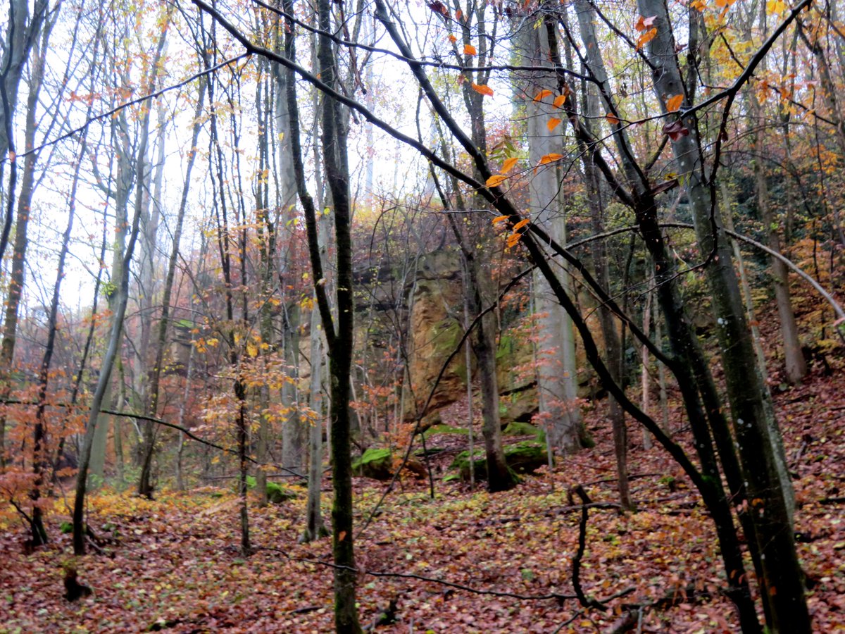 marathomy's tweet photo. #Wanderung auf den #Buchberg bei #Neumarkt mit #Teufelskeller und #Keltenwall am 26.11.2022
#Herbst #Bäume #Laub #November #Berg #Herbstlaub #autumn #Trails #Hofbuchberg
#Peaks #Gipfel #Berge #Hügel #Felsen #mountains #hills #rocks
#Felsenspalt #Höhle
#Marienstatue #Maria #Jesus https://t.co/M8bOtGxat0