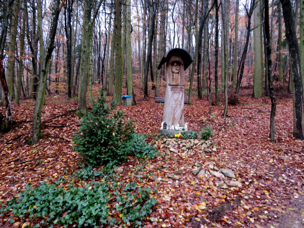 marathomy's tweet photo. #Wanderung auf den #Buchberg bei #Neumarkt mit #Teufelskeller und #Keltenwall am 26.11.2022
#Herbst #Bäume #Laub #November #Berg #Herbstlaub #autumn #Trails #Hofbuchberg
#Peaks #Gipfel #Berge #Hügel #Felsen #mountains #hills #rocks
#Felsenspalt #Höhle
#Marienstatue #Maria #Jesus https://t.co/M8bOtGxat0