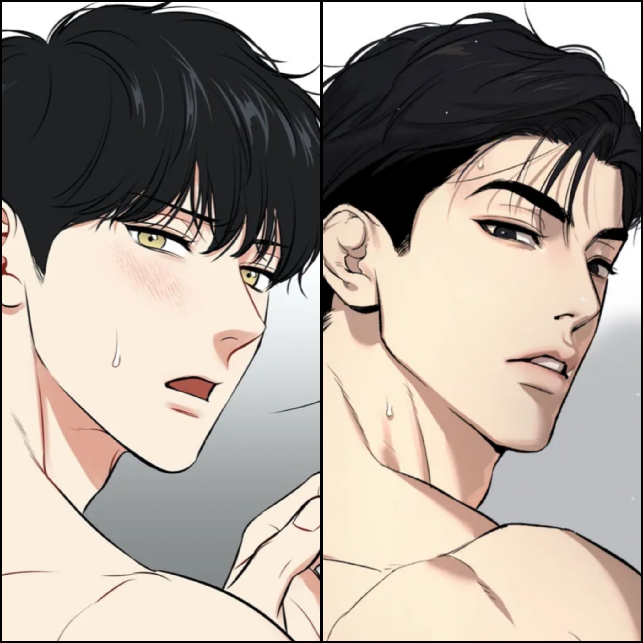 BJアレックス JINX 韓国bl BJアレックス JINX 韓国bl BJ Alex and Jinx 🥹 Daddies and