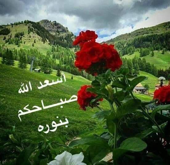 AgazzarAyman's tweet photo. @39da24fc822e4e1 https://t.co/ZNopFrHrgM