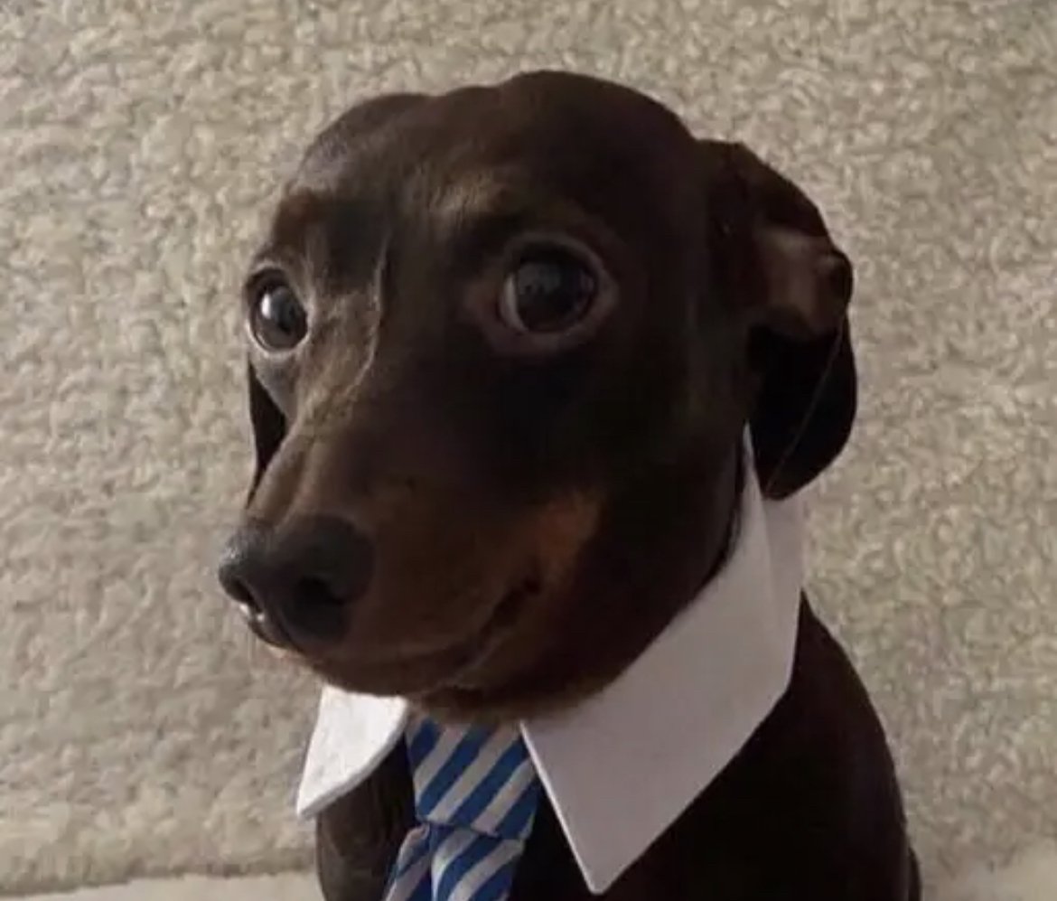 ᅟ (@equal) on Twitter photo 