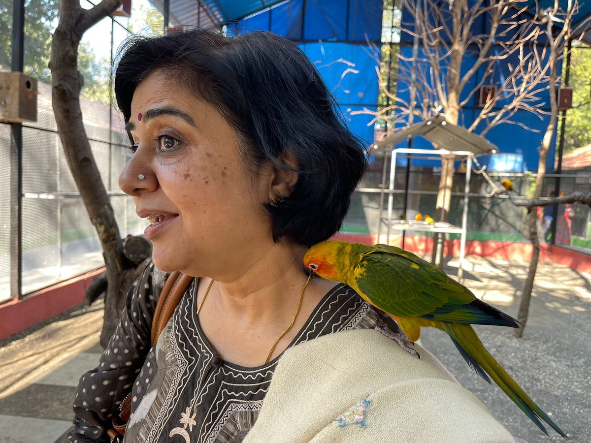 sadhnash's tweet photo. #ramdham #SuviBirdPark #MexicoVsArgentina Ramtek #Nagpur #travel #fun https://t.co/VGySrkPWXL