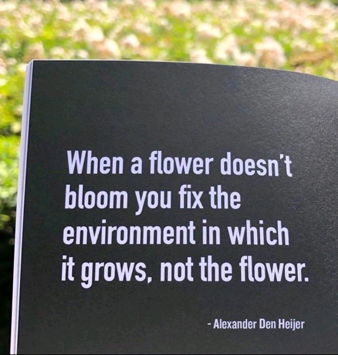 Steve O. tweet media