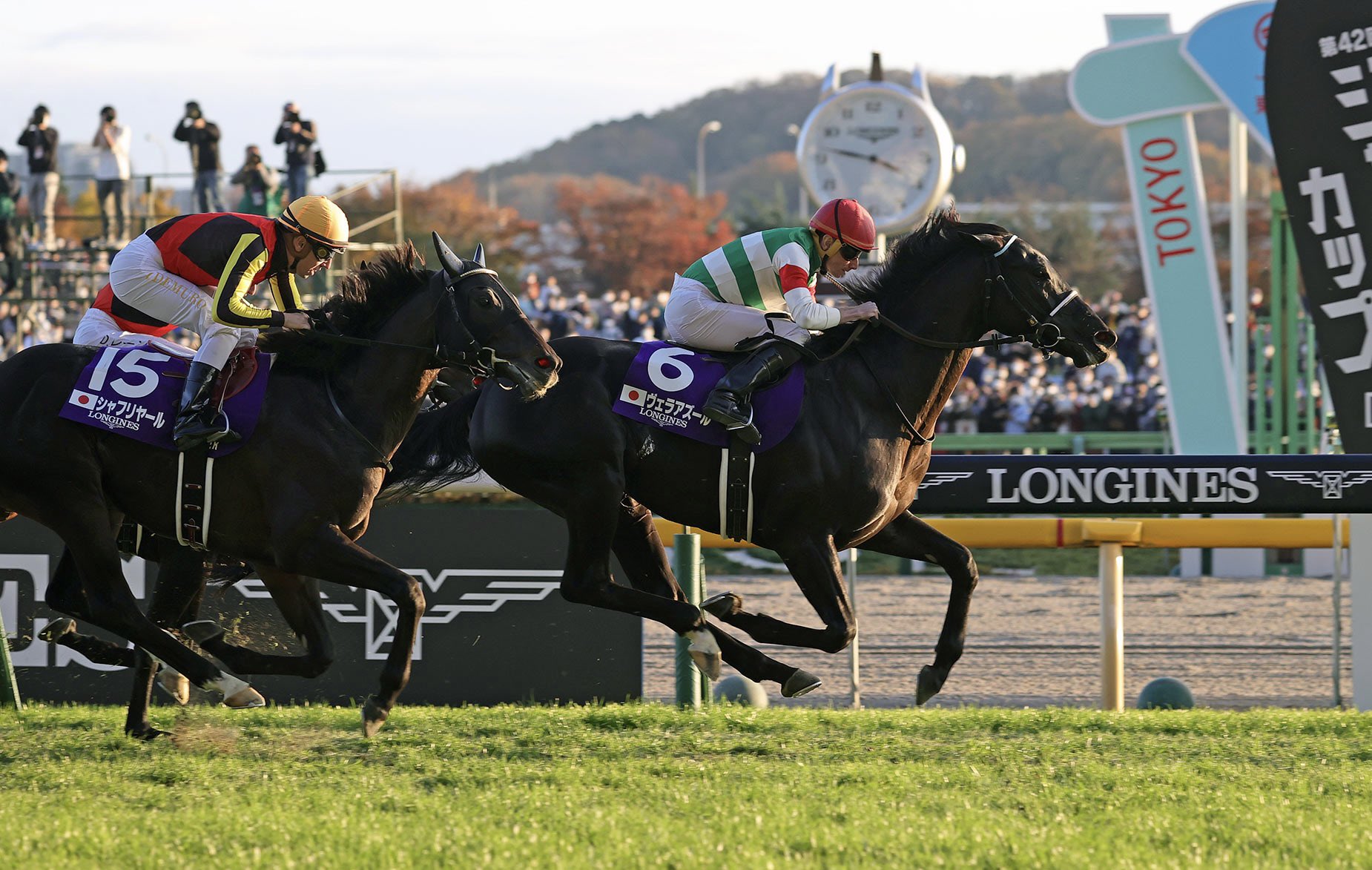 World Horse Racing on Twitter "The Japanese autumn G1 winners… 🥇