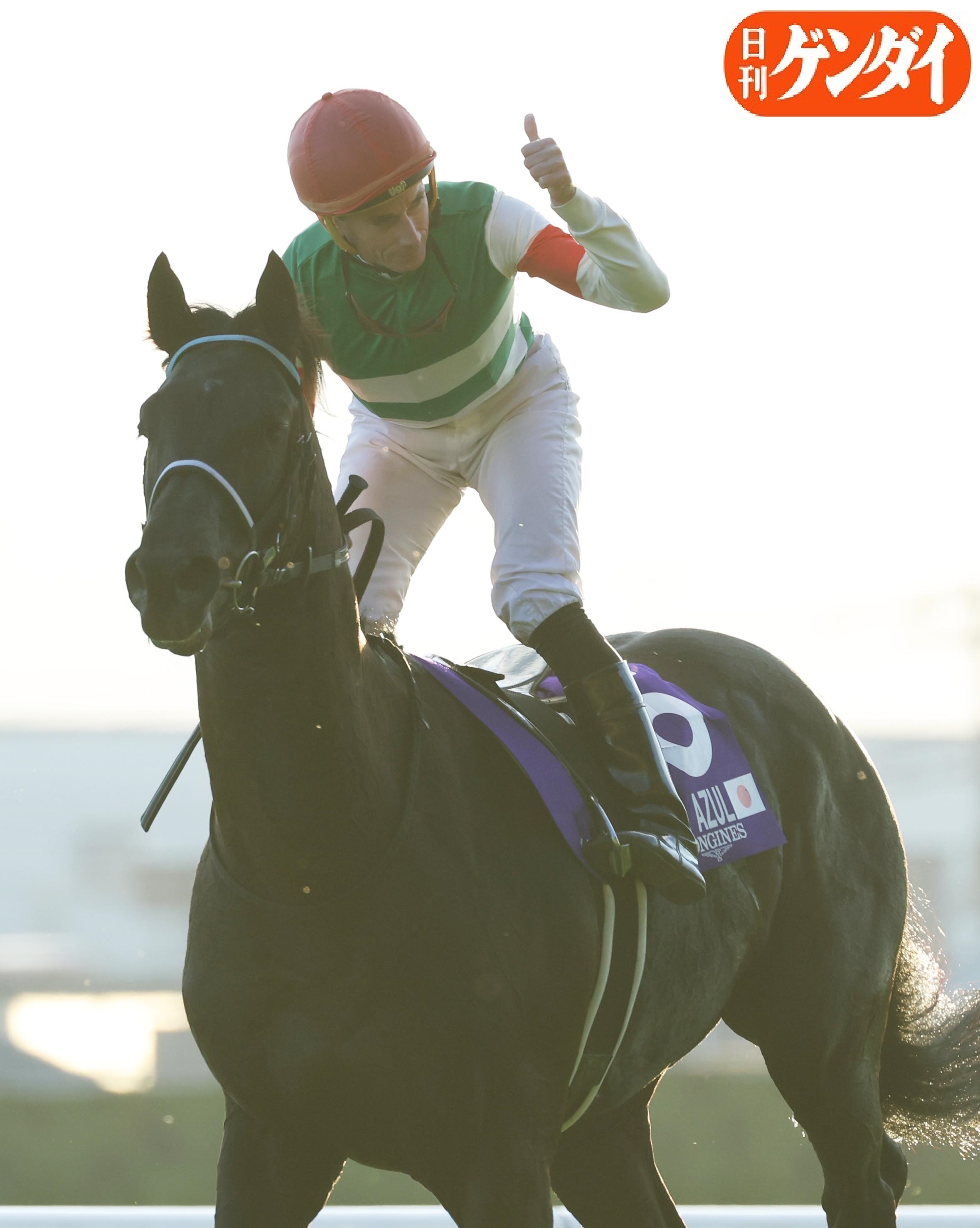 競馬　ヴェラアズール　アイドルホース　優勝レイ　馬着 競馬 ヴェラアズール アイドルホース 優勝レイ 馬着 競馬 ヴェラ