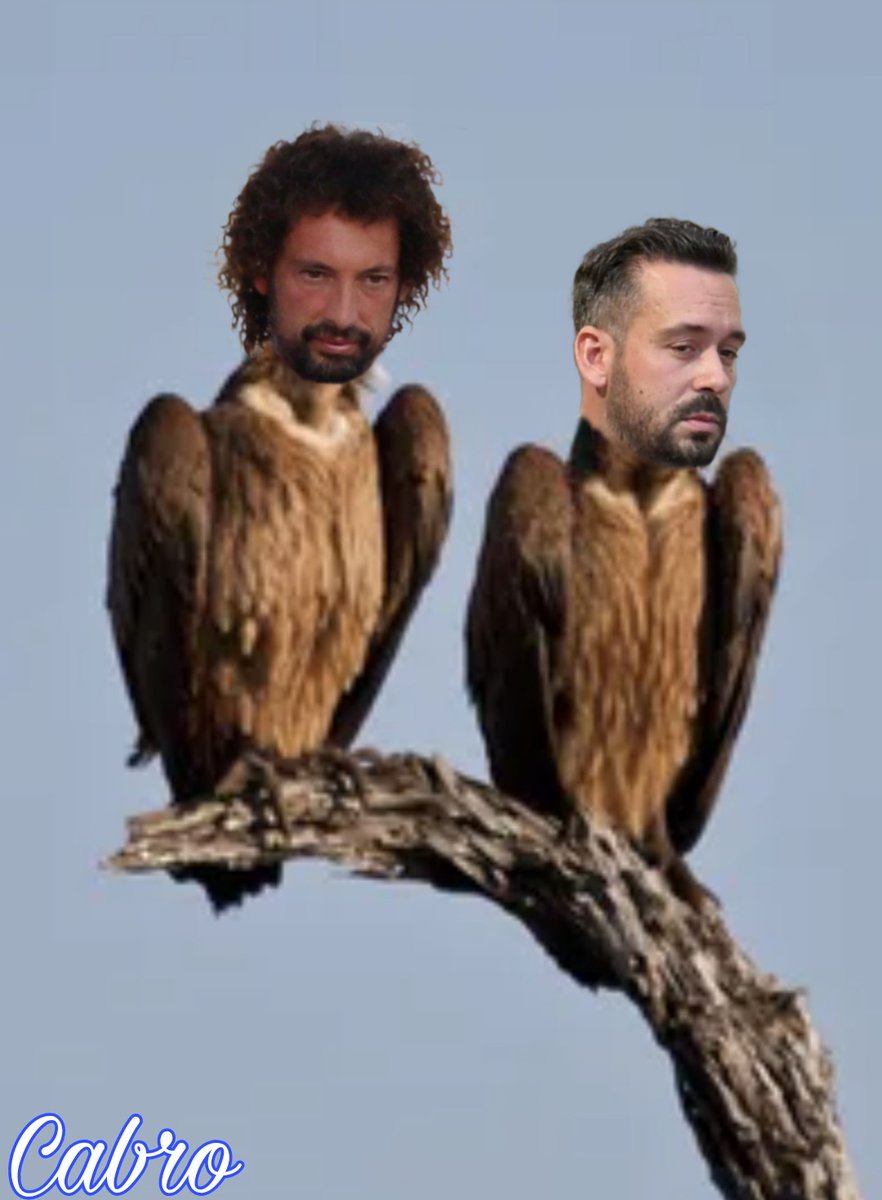 @PaolaCalvo16 <a href="/AJugona/">Sesina16</a>