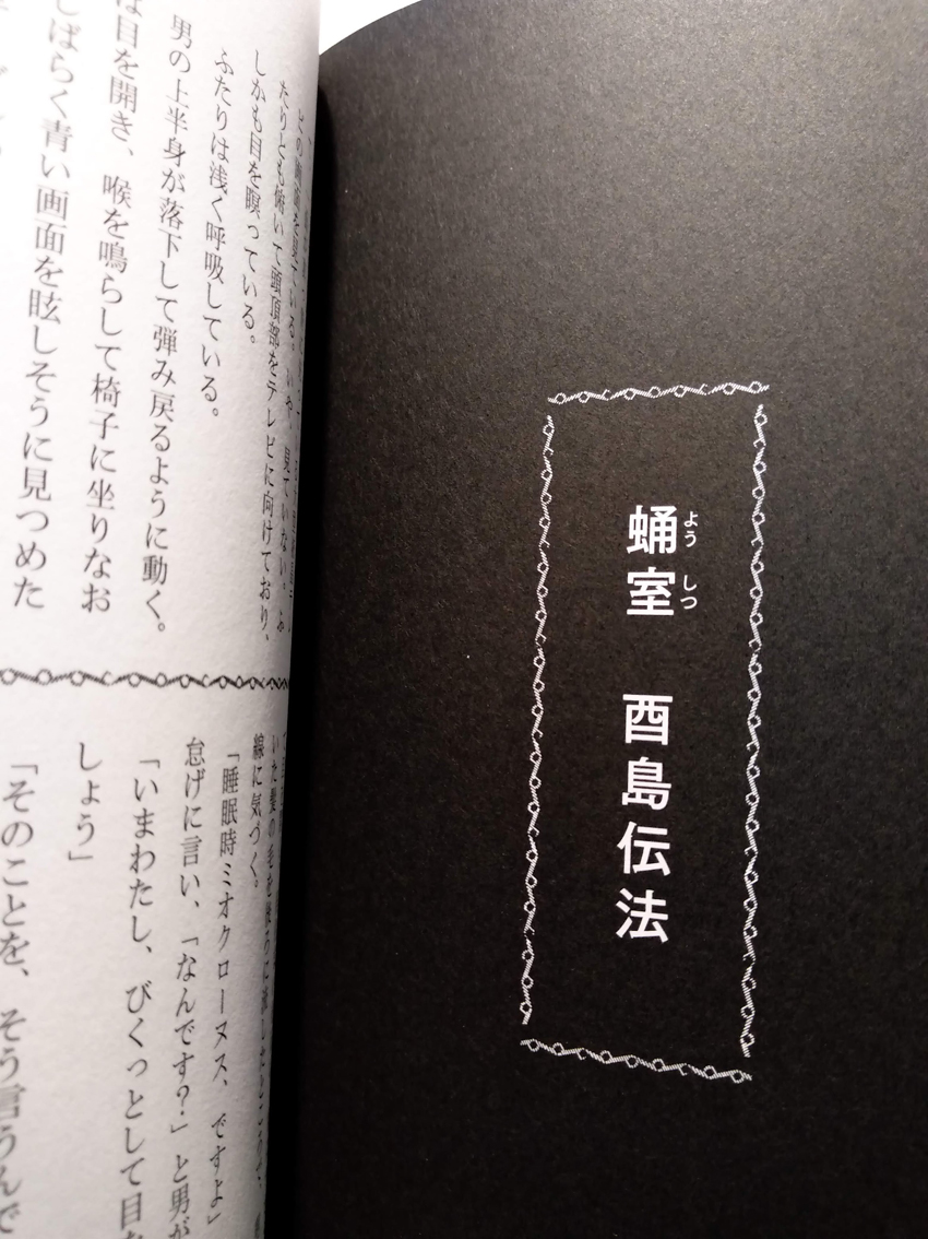 漫画と文学のリトルプレス『ランバーロール05』(タバブックス)に、「蛹室」という短めの小説を寄稿しています。漫画から俳句やエッセイや小説まで収録されていて、たいそう楽しい。11月30日頃発売。 