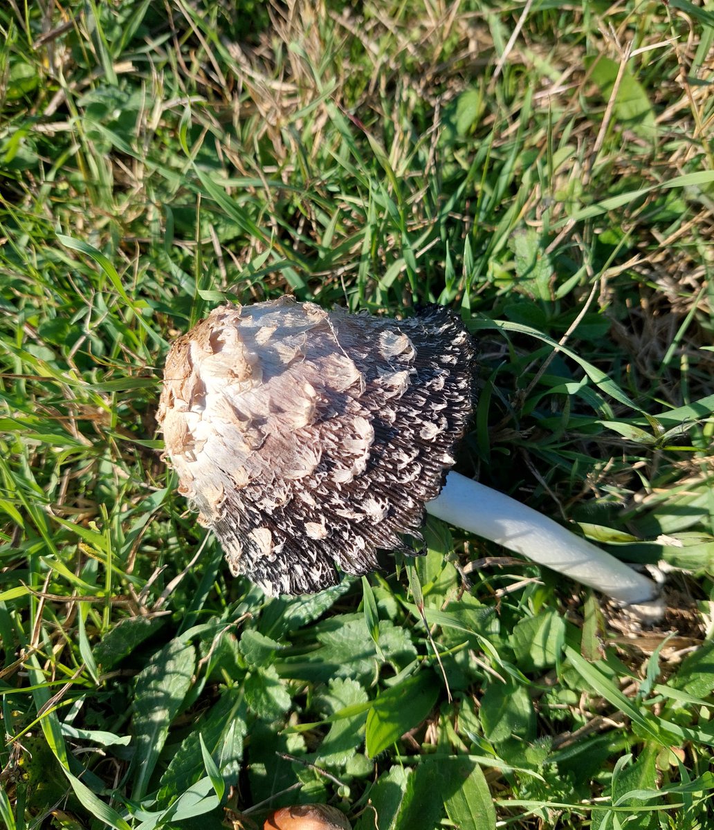 Büşra 🌼 (@upsydaiissy) on Twitter photo 