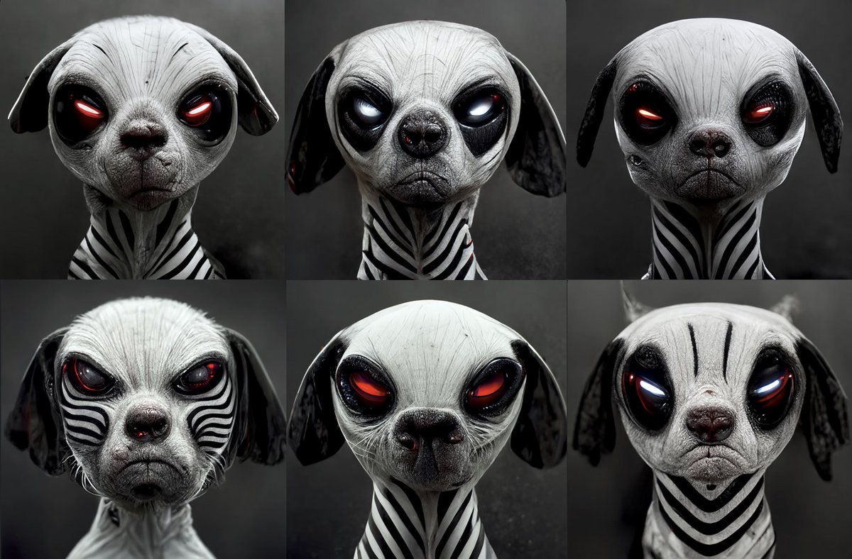 <a href="/DesertJafari/">DesertJafari</a> <a href="/opensea/">OpenSea</a> <a href="/dogliens/">Dogliens</a> <a href="/SmilerzPack/">Smilerz</a> <a href="/ScrewzRLoose/">Screwz</a> <a href="/TheUranimax/">The Uranimax</a> <a href="/BrutagarusTribe/">BrutagarusTribe</a> <a href="/Sunqraeks/">Dogliens: Sunqraeks</a> <a href="/InTheBurrows/">Paw Planet Burrows🛸🐶🐾</a> @JunklinsDogs <a href="/DoglienSnowPaps/">The Snow Papillions of Dogliens</a> <a href="/zebarians/">Zebarians</a> cross their paws that you quickly find a new home friends 🏡🐶👽