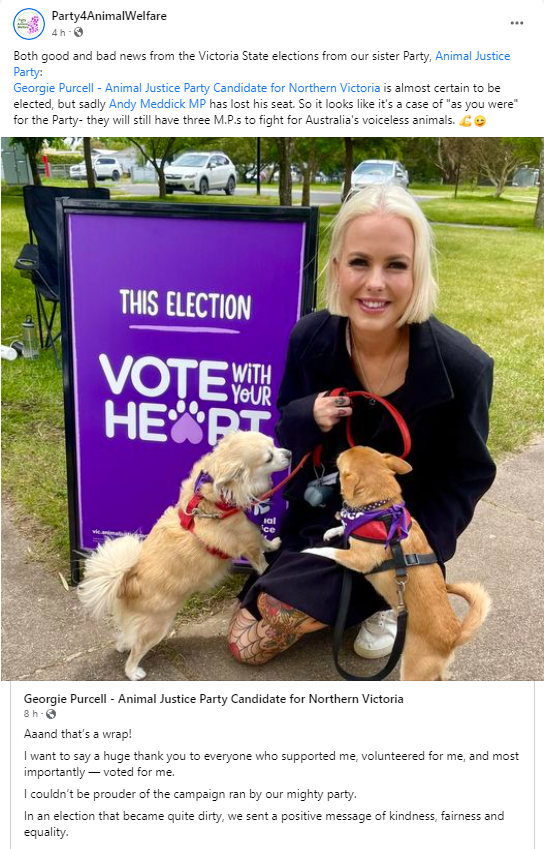 AnimalPartyIE's tweet photo. Both good & bad news from #Victoria State elections from our #Australian sister Animal Justice Party:
@georgievpurcell @AJP_Victoria Candidate for #NorthernVictoria is almost certain to be elected. But sadly @AndyMeddickMP has lost his seat. 🦘🐨🐶🐬🦢🐍🐝🐊 #VictoriaVotes https://t.co/aAOgRVdVwH
