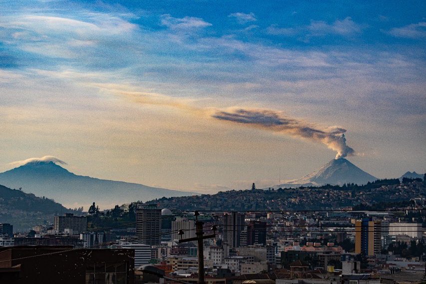 Verde Milenio tweet media