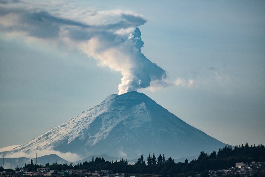 Verde Milenio tweet media