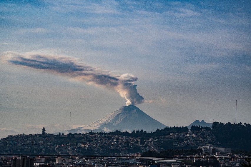 Verde Milenio tweet media