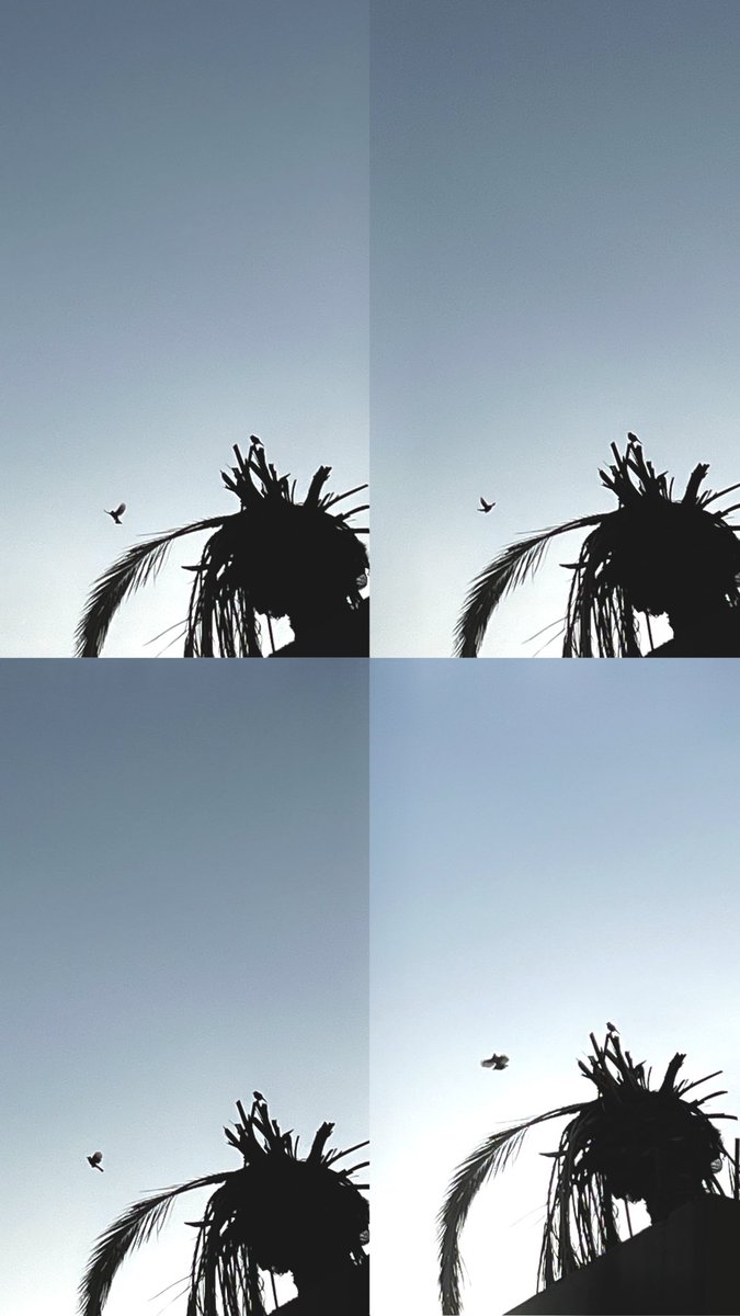 اماني (@21_amani) on Twitter photo 